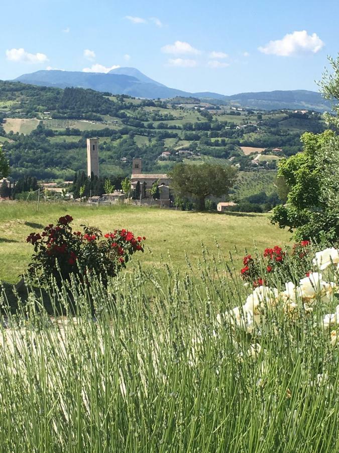 Al Castello Villa San Severino Marche Eksteriør billede